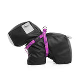 ARNÉS / BERRY EMPORIA LÚREX