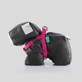 ARNÉS BIOTHANE® BERRY