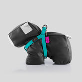 ARNÉS BIOTHANE® TURQUESA