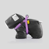 ARNÉS BIOTHANE® ORQUÍDEA