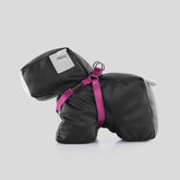 ARNÉS BÁSICO / BERRY