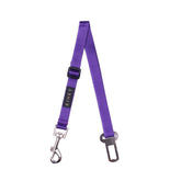CINTURÓN DE SEGURIDAD / BÁSICO MORADO