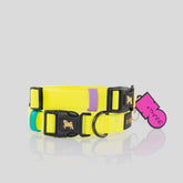 COLLAR BIOTHANE® AMARILLO NEÓN