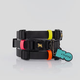 COLLAR BIOTHANE® NEGRO