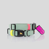 COLLAR BIOTHANE® VERDE ZOMBIE