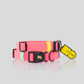 COLLAR BIOTHANE® ROSADO NEÓN