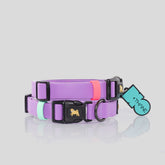 COLLAR BIOTHANE® ORQUÍDEA