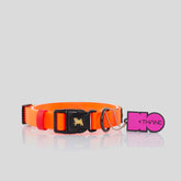 COLLAR BIOTHANE® NARANJA NEÓN