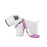 CONJUNTO ARNÉS + TRAÍLLA / BÁSICO BERRY