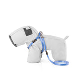 CONJUNTO ARNÉS + TRAÍLLA / BÁSICO ACUARELA