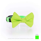 COLLAR DE CORBATÍN / BÁSICO VERDE NEÓN