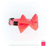 COLLAR DE CORBATÍN / BÁSICO MELON NEÓN