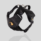 Pechera VD del Capitán Tocineto