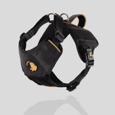 Pechera VD del Capitán Tocineto