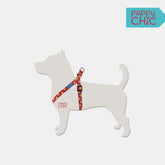 CONJUNTO ARNÉS + TRAÍLLA / FUCSIA BOLAS AMARILLAS PUPPY CHIC