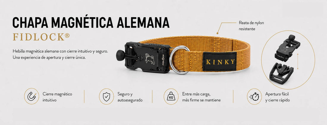 CHAPA MAGNÉTICA FIDLOCK