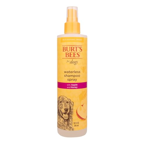 SHAMPOO EN SECO / BURT´S BEES MANZANA Y MIEL