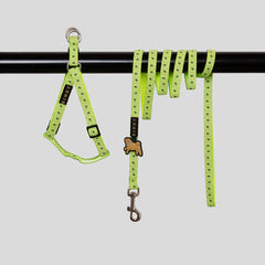 CONJUNTO ARNÉS + TRAÍLLA  / MILITAR ESTRELLAS VERDE