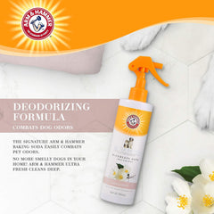 SHAMPOO EN SECO WILD JASMINE / ARM & HAMMER