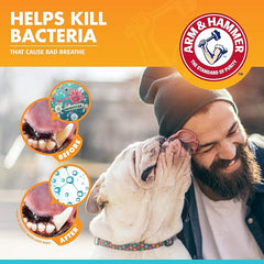 SPRAY DENTAL MENTA / ARM & HAMMER