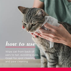 PAÑITOS HÚMEDOS / BURT´S BEES ANTI BOLA DE PELOS