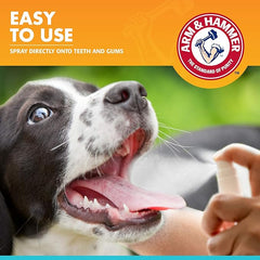 SPRAY DENTAL MENTA / ARM & HAMMER