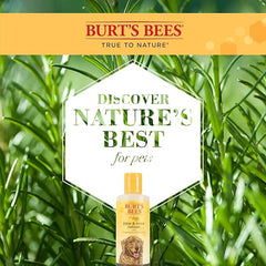 SHAMPOO EN SECO PARA GATOS / BURT´S BEES