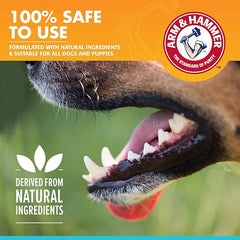SPRAY DENTAL MENTA / ARM & HAMMER
