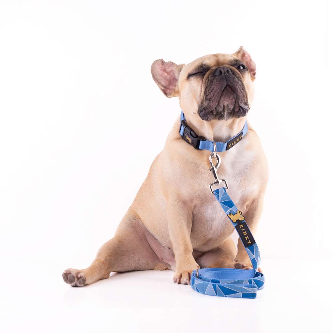 TRAÍLLA ACUARELA EMPORIA  LÚREX