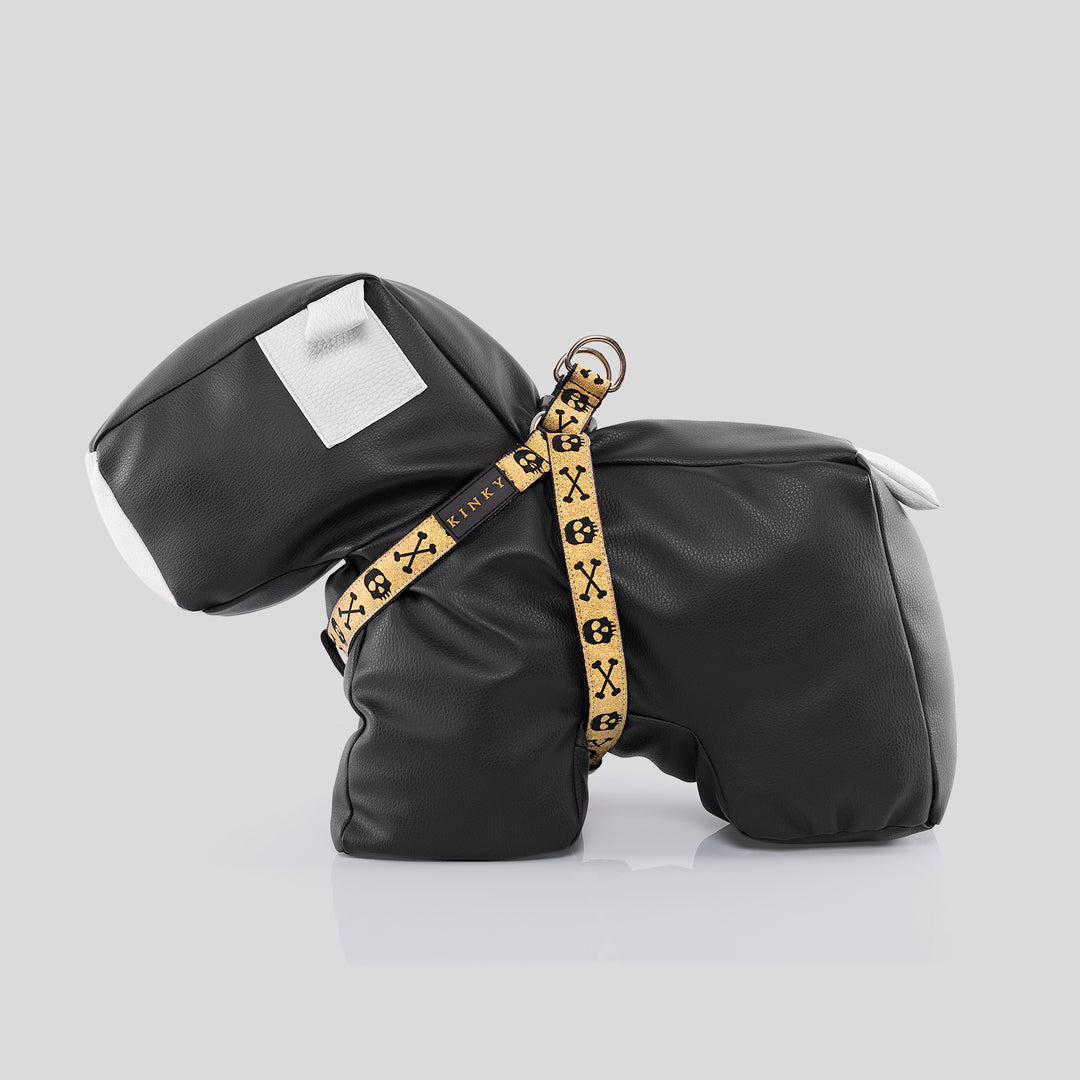 ARNÉS  / DORADA CALAVERA GOLD