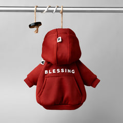 HOODIE BLESSING  / MANGO COUTURE