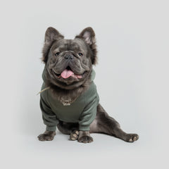 HOODIE BLESSING  / MANGO COUTURE