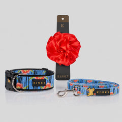 SET DE LOTOS / MIX & MATCH