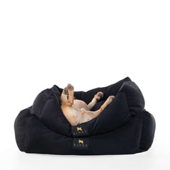 CAMA PARA PERRO NEGRA / ROSADO NEÓN