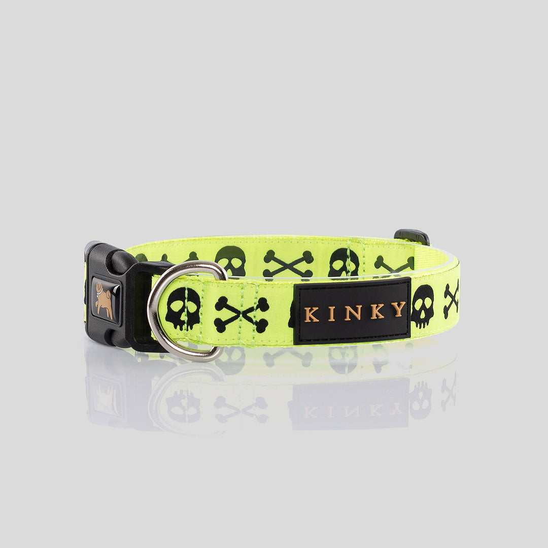 COLLAR / CALAVERA NEÓN