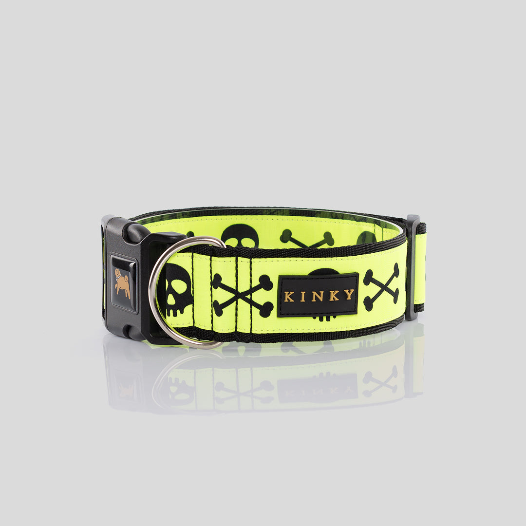 COLLAR SÚPER ANCHO / CALAVERA NEÓN