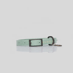 COLLAR MINI / CUERO TACHES VERDE ZOMBIE