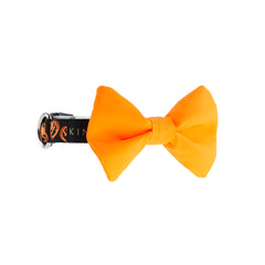 COLLAR DE CORBATÍN / HALLOWEEN CALABAZAS