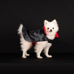 CAPA HALLOWEEN DRÁCULINA