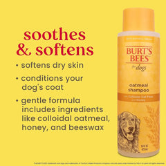 SHAMPOO AVENA / BURT´S BEE
