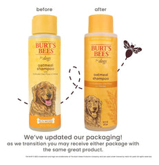 SHAMPOO AVENA / BURT´S BEE