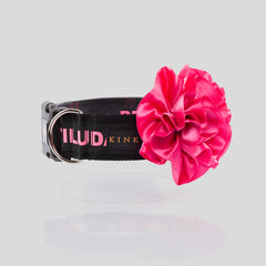 COLLAR SÚPER ANCHO FLOR /  PERRA ESTILUDA