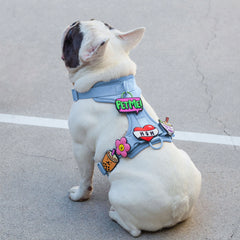 ESCUDO JIBY PET ME