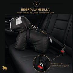 CINTURÓN DE SEGURIDAD / NEGRO CALAVERA GOLD