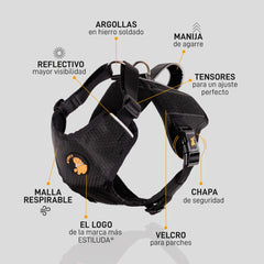 Pechera VD del Capitán Tocineto