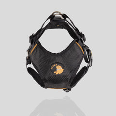 Pechera VD del Capitán Tocineto Negra / Dorado