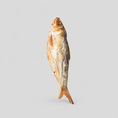 SARDINAS / LINAJE BARF