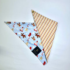 PAÑOLETA NAVIDAD / RENOS Y RAYAS