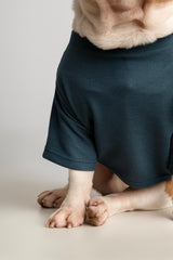 T-SHIRT AURA OCEAN / MANGO COUTURE