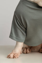 T-SHIRT AURA OLIVA  / MANGO COUTURE